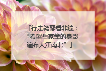 行走赣鄱看非遗：“希望岳家拳的身影遍布大江南北”
