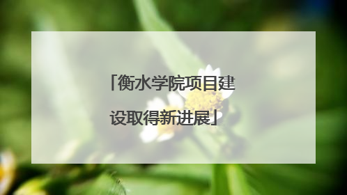 衡水学院项目建设取得新进展