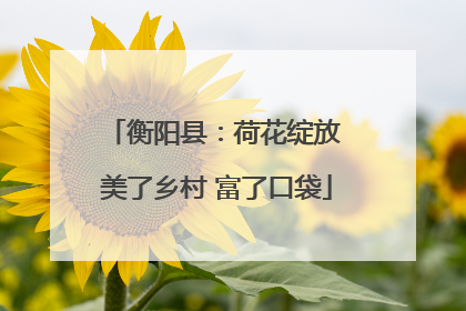 衡阳县：荷花绽放 美了乡村 富了口袋