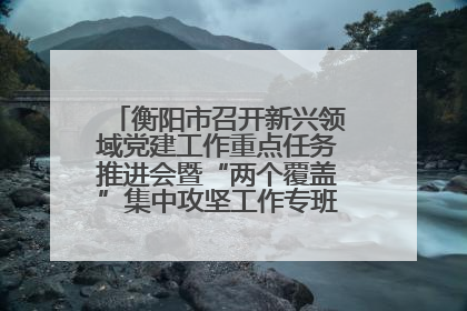衡阳市召开新兴领域党建工作重点任务推进会暨“两个覆盖”集中攻坚工作专班 第一次会议