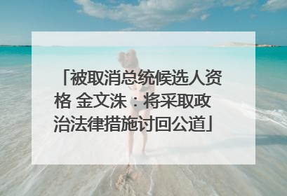 被取消总统候选人资格 金文洙：将采取政治法律措施讨回公道