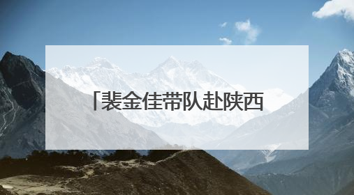裴金佳带队赴陕西调研退役军人工作