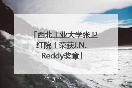 西北工业大学张卫红院士荣获J.N.Reddy奖章