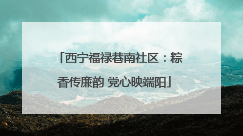 西宁福禄巷南社区：粽香传廉韵 党心映端阳