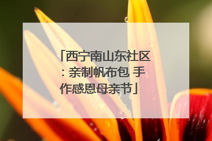 西宁南山东社区：亲制帆布包 手作感恩母亲节