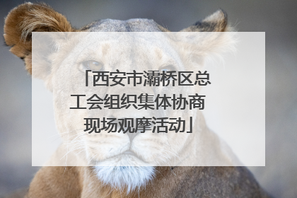 西安市灞桥区总工会组织集体协商现场观摩活动