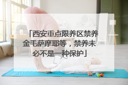 西安重点限养区禁养金毛萨摩耶等，禁养未必不是一种保护