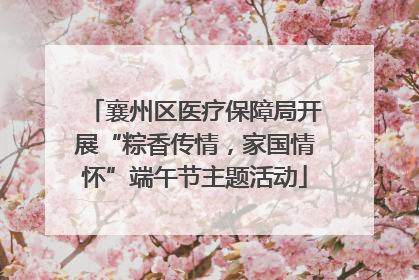 襄州区医疗保障局开展“粽香传情，家国情怀”端午节主题活动