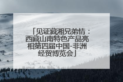 见证藏湘兄弟情：西藏山南特色产品亮相第四届中国-非洲经贸博览会