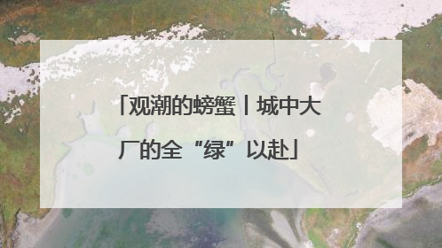 观潮的螃蟹丨城中大厂的全“绿”以赴