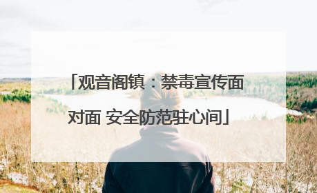 观音阁镇：禁毒宣传面对面 安全防范驻心间