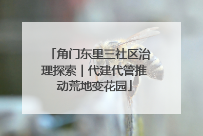 角门东里三社区治理探索｜代建代管推动荒地变花园