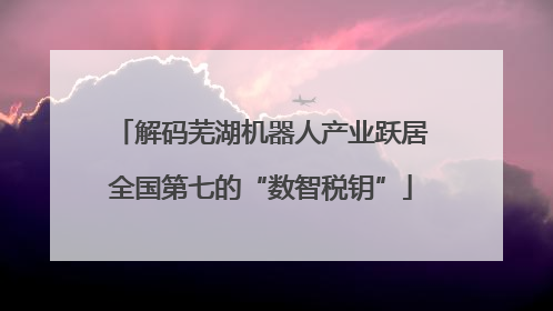 解码芜湖机器人产业跃居全国第七的“数智税钥”