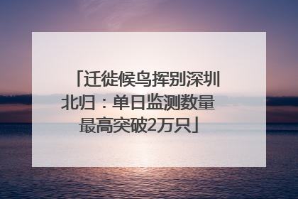 迁徙候鸟挥别深圳北归：单日监测数量最高突破2万只