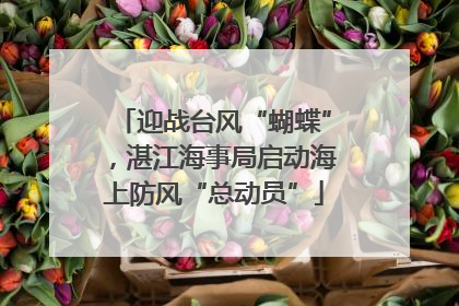 迎战台风“蝴蝶”，湛江海事局启动海上防风“总动员”