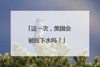 这一次，美国会被拉下水吗？