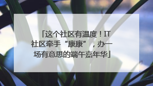 这个社区有温度！IT社区牵手“康康”，办一场有意思的端午嘉年华