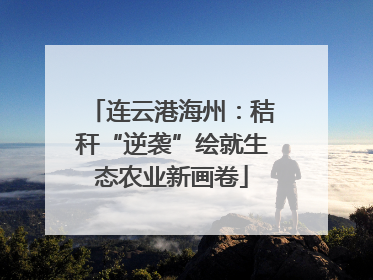 连云港海州：秸秆“逆袭”绘就生态农业新画卷