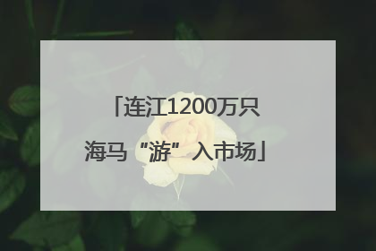 连江1200万只海马“游”入市场