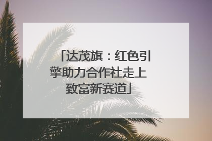 达茂旗：红色引擎助力合作社走上致富新赛道