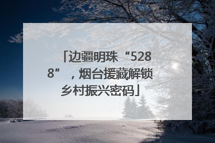 边疆明珠“5288”，烟台援藏解锁乡村振兴密码