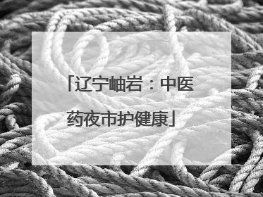 辽宁岫岩：中医药夜市护健康