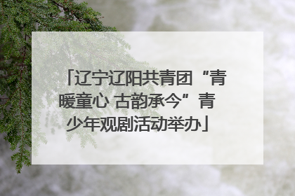 辽宁辽阳共青团“青暖童心 古韵承今”青少年观剧活动举办