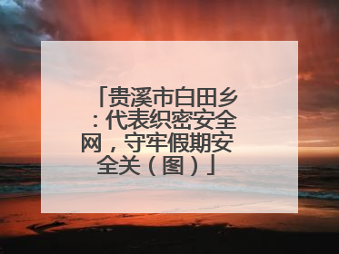 贵溪市白田乡：代表织密安全网，守牢假期安全关（图）
