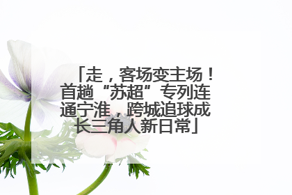 走，客场变主场！首趟“苏超”专列连通宁淮，跨城追球成长三角人新日常
