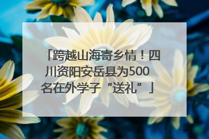 跨越山海寄乡情！四川资阳安岳县为500名在外学子“送礼”