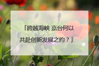 跨越海峡 嘉台何以共赴创新发展之约？