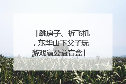 跳房子、折飞机，东华山下父子玩游戏赢公益盲盒