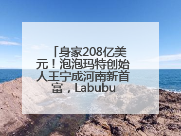 身家208亿美元！泡泡玛特创始人王宁成河南新首富，Labubu热销推涨股价
