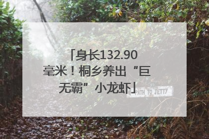 身长132.90毫米！桐乡养出“巨无霸”小龙虾