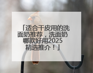 适合干皮用的洗面奶推荐，洗面奶哪款好用2025精选推介！