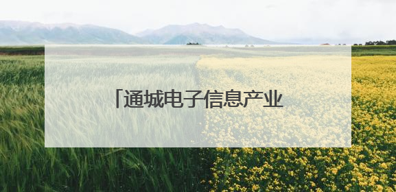 通城电子信息产业集群效应日益凸显