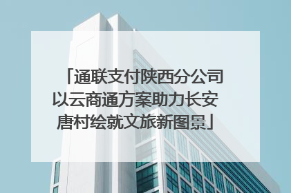 通联支付陕西分公司以云商通方案助力长安唐村绘就文旅新图景