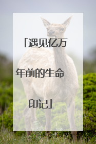 遇见亿万年前的生命印记