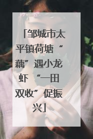 邹城市太平镇荷塘“藕”遇小龙虾 “一田双收”促振兴