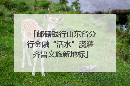 邮储银行山东省分行金融“活水”浇灌齐鲁文旅新地标