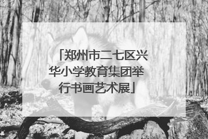 郑州市二七区兴华小学教育集团举行书画艺术展