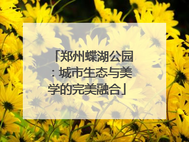 郑州蝶湖公园：城市生态与美学的完美融合