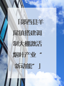 郧西县羊尾镇搭建调制大棚激活烟叶产业“新动能”