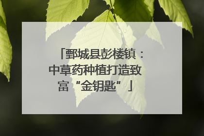 鄄城县彭楼镇：中草药种植打造致富“金钥匙”