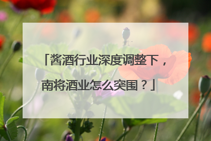 酱酒行业深度调整下，南将酒业怎么突围？