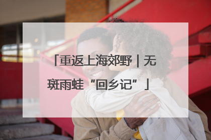 重返上海郊野｜无斑雨蛙“回乡记”