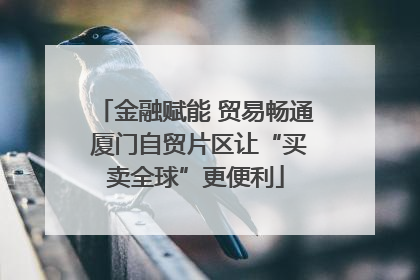 金融赋能 贸易畅通 厦门自贸片区让“买卖全球”更便利