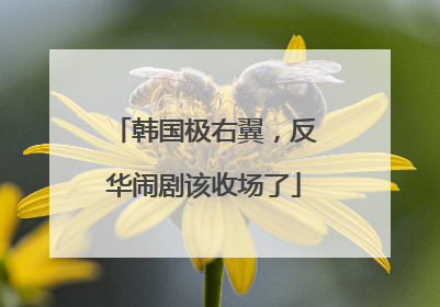 韩国极右翼，反华闹剧该收场了