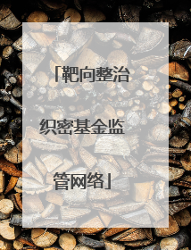 靶向整治织密基金监管网络