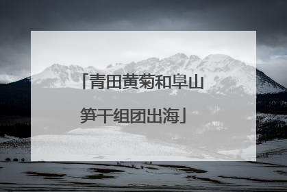 青田黄菊和阜山笋干组团出海